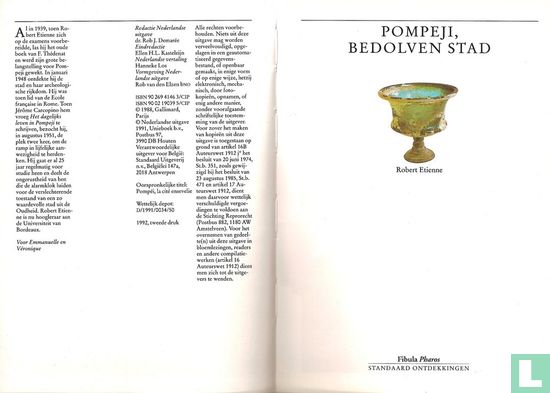 Pompeji, bedolven stad - Image 3