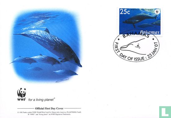 WWF - Spitssnuitdolfijn van de Blainville