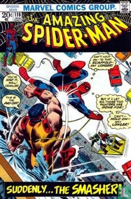 The Amazing Spider-Man 116 - Bild 1