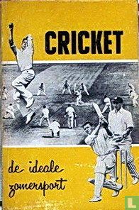 Cricket, de ideale zomersport - Afbeelding 1