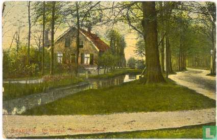 De Sierkan. Haarlemmerhout