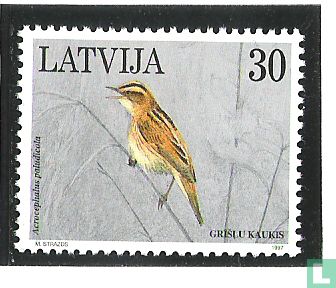 Aquatic warbler