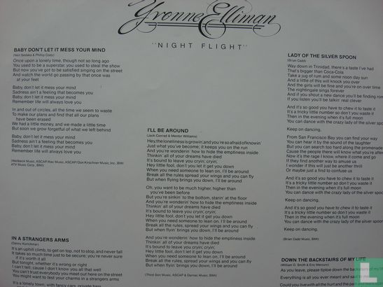 Night Flight - Afbeelding 2