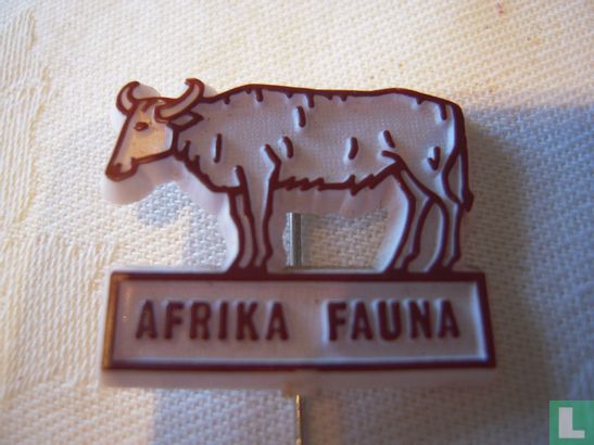 Afrika fauna (Büffel)