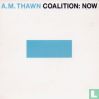 Coalition: now - Afbeelding 1