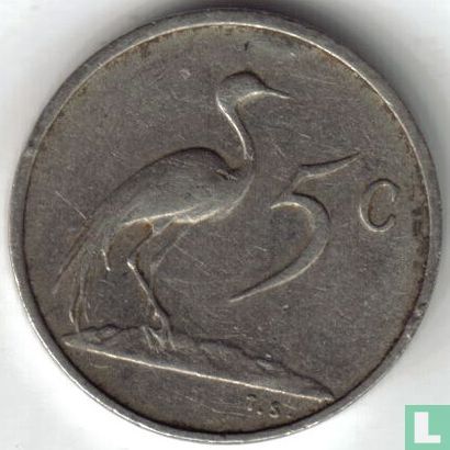 South Africa 5 cents 1981 - Image 2
