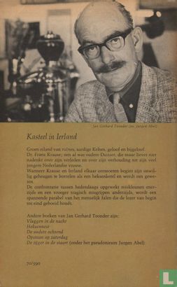 Kasteel in Ierland - Image 2