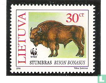 Wisent oder europäische Bison