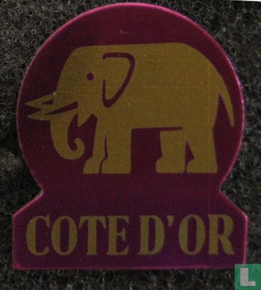 Chocolat Côte d'Or (Violet)