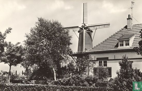 Ruurlo, Borculoseweg - Image 1