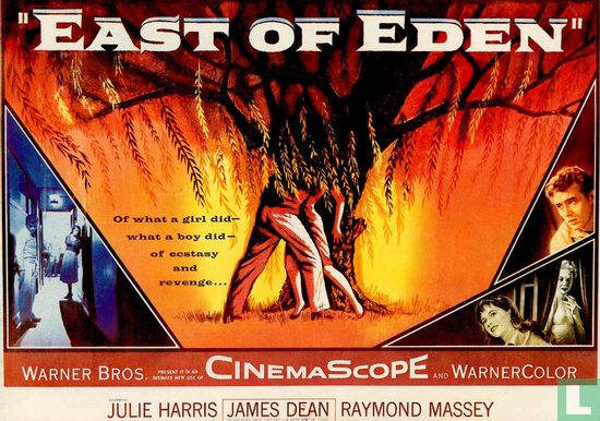 James Dean, East of Eden CP 832