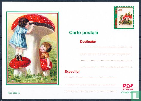 Carte postale de champignons