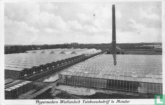 Hypermodern Westlandsch Tuinbouwbedrijf te Monster - Image 1
