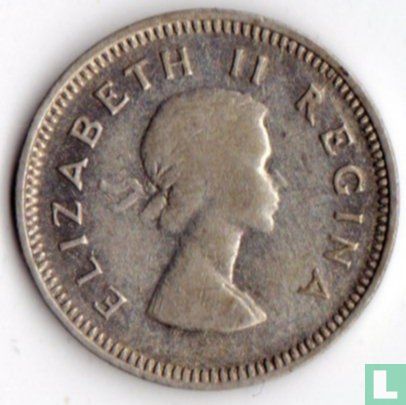 Afrique du Sud 3 pence 1956 - Image 2