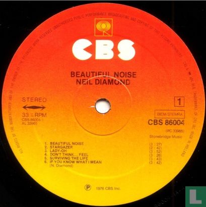 Beautiful Noise - Bild 3