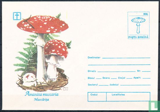 Umschlag Pilze