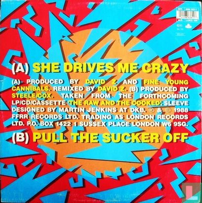 She Drives Me Crazy - Afbeelding 2