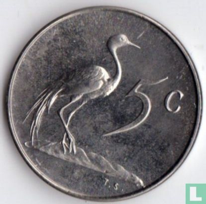 Afrique du Sud 5 cents 1966 (SUID-AFRIKA) - Image 2