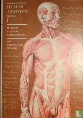 Human anatomy 1 - Afbeelding 1