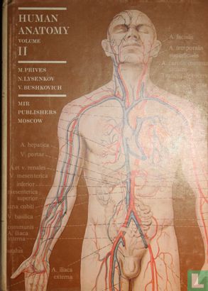 Human anatomy 2 - Image 1