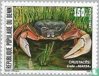 Crustaceans 