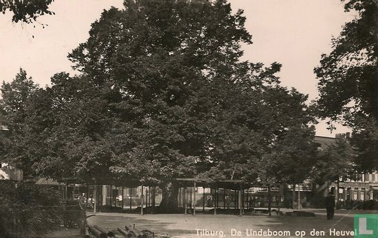 Tilburg, De Lindeboom op den Heuvel - Image 1