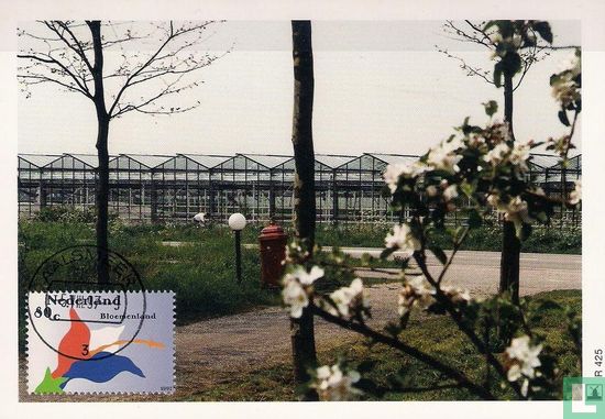 100 years of Horticultural School Aalsmeer - Image 1