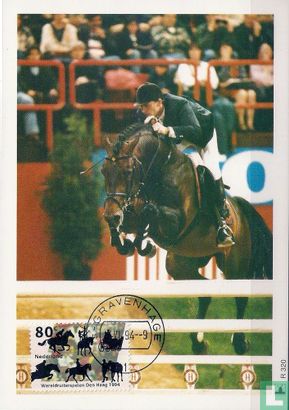 World Equestrian Games - Image 1