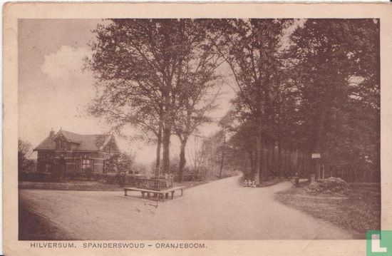 Spanderswoud - Oranjeboom - Image 1