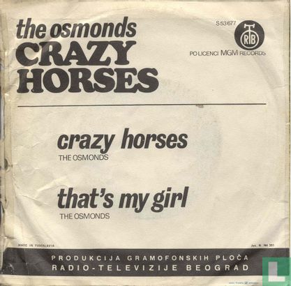 Crazy horses - Bild 2