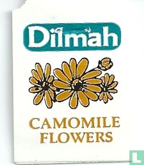 Camomile Flowers - Afbeelding 3