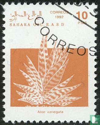 Sahara OCC r.a. S. D, Flora und Fauna 