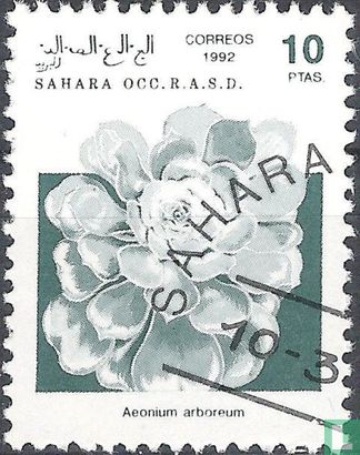Sahara OCC r.a. s. D, Flora and Fauna 