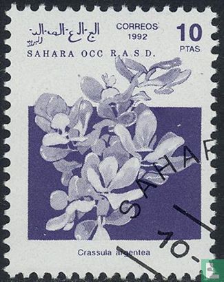 Sahara OCC R.A.S.D, Flora en Fauna 