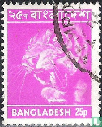 Beelden van Bangladesh