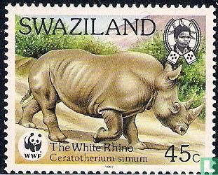 WWF - Witte Neushoorn