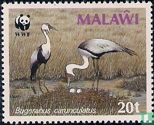 WWF - Wattled cranes