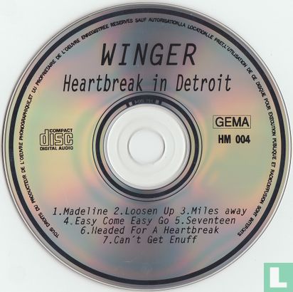 Heartbreak in Detroit - live 1990 - Bild 3