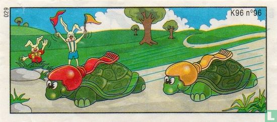 Race schildpad - Afbeelding 2