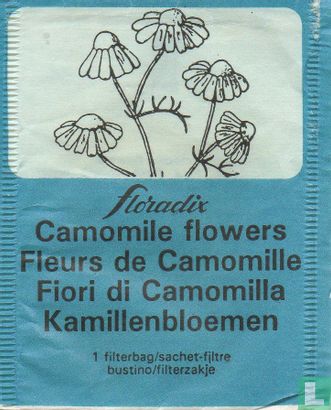 Camomile flowers - Afbeelding 1