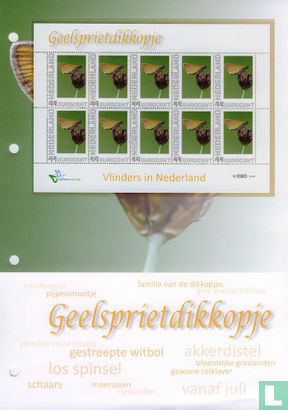 Butterflies in the Netherlands - Geelsprietdikkopje - Image 2