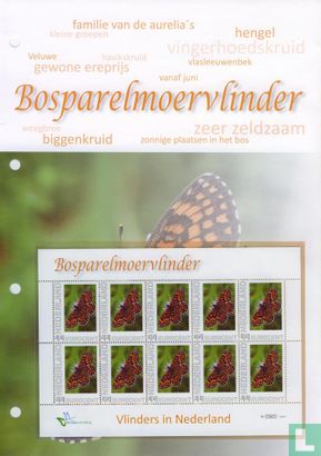 Butterflies in the Netherlands - Forest fritillary - Image 2