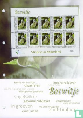 Butterflies in the Netherlands - Boswitje - Image 2