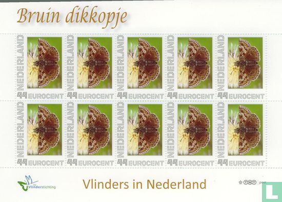 Butterflies in the Netherlands - Brown Dikkopje - Image 1