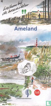 Ameland - Bild 1