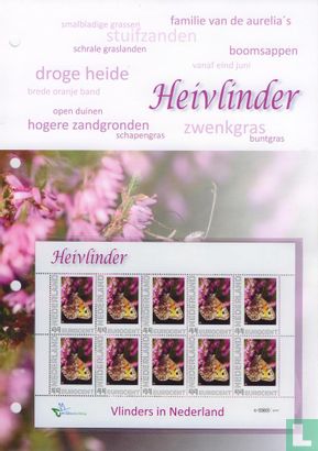 Butterflies in the Netherlands - Heidevlinder - Image 2