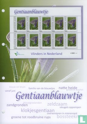 Butterflies in the Netherlands - Gentian blue - Image 2
