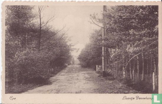 Laantje Dennekamp - Bild 1
