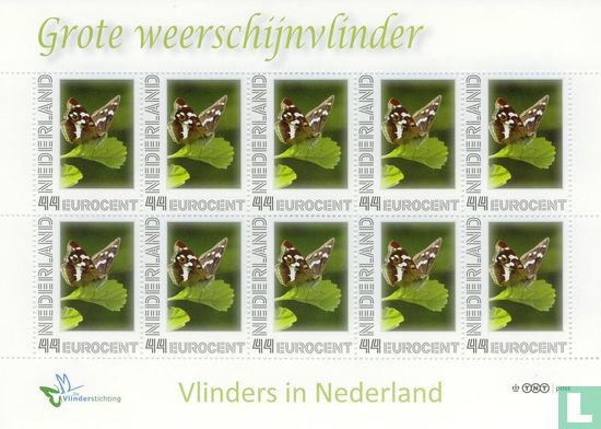 Butterflies in the Netherlands - Great Weather Butterfly - Image 1