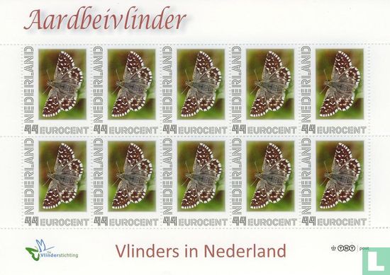 Butterflies in the Netherlands - Strawberry Butterfly - Image 1